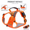 Dog Harness and Leash