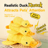 Plush Squeaky Pet Toy for Dogs and Cats