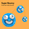 Plush Squeaky Dog Toy Ball