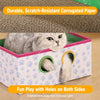 Cardboard Cat Scratcher and Bed