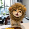 Novelty Pet Costume Hats for Cats and Dogs
