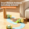 Rechargeable Electronic Cat Toy – Mouse & Toy Car Designs