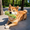 Dog Squeaky Chew Toy Set for Play and Solo Entertainment