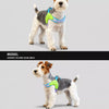Y-Style Dog Harness and Leash Set for Small Dogs