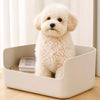 Plush Squeaky Dog Toy Collection