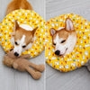 Soft Polyester Recovery Cone for Dogs and Cats