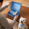 Novelty Snuffle Boot Dog Toy