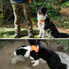Vest-Style Dog Harness with Retractable Leash