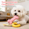 Dog Chew & Play Toys
