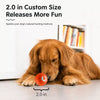 Interactive Electric Bouncing Ball Toy for Dogs