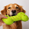 Double-Layer Squeaky Bone Chew Toy for Large Dogs