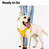 Lightweight Pet Harness and Leash Set