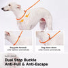 Integrated Dog Collar and Leash with Control Handle