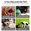 Dog Muzzle with Plastic Frame and Mesh Panel