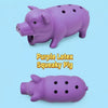 Squeaky Pig Toy for Dogs