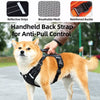 Dog Harness and Leash