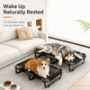 Foldable Elevated Dog Bed