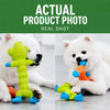 Squeaky Latex Dog Toy for Small and Medium Dogs