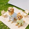 Printed Mesh Four-Leg Dog Shirt for Summer