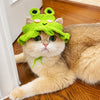 Novelty Pet Costume Hats for Cats and Dogs