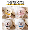 Breathable Mesh Muzzle for Small to Medium Dogs