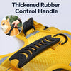 Dog Harness and Leash