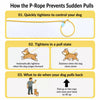 Polyester Dog Slip Lead for Training