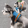 Dog Vest Harness with Leash Options