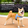 Nylon Vest-Style Dog Harness with Integrated Leash