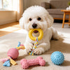 Dog Chew & Play Toys