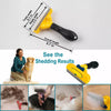 Flea Comb for Cats and Dogs – Multi-Size Pet Grooming Tool