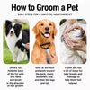 Pet Grooming Comb and Nail Clippers for Dogs and Cats