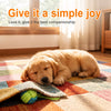 Interactive Rope Dog Toy for Small and Medium Dogs