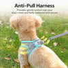 Nylon Dog Vest Harness with Leash
