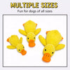 Plush Squeaky Dog Toy Collection