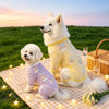 Printed Mesh Four-Leg Dog Shirt for Summer