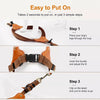 Vest-Style Dog Harness for Small to Medium Dogs