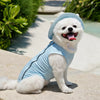 Reflective Dog Vest