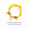 Adjustable Pet Collar for Cats and Small Dogs