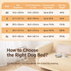 Elevated Portable Pet Bed with Removable Washable Design