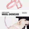 Wraparound Dog Harness