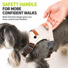 Adjustable Vest-Style Dog Harness & Leash Set