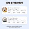 Cat & Dog Foam Pet Bed