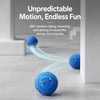 Interactive Electric Bouncing Ball Toy for Dogs