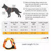 Vest-Style Dog Harness with Retractable Leash