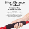 Dog Slip Lead for Everyday Walks and Training