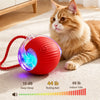 Adjustable Interactive Teaser Ball Cat Toy with String