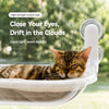 Transparent Capsule Cat Window Bed
