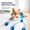 Interactive Electric Bouncing Ball Toy for Dogs