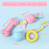 Dog Chew & Play Toys